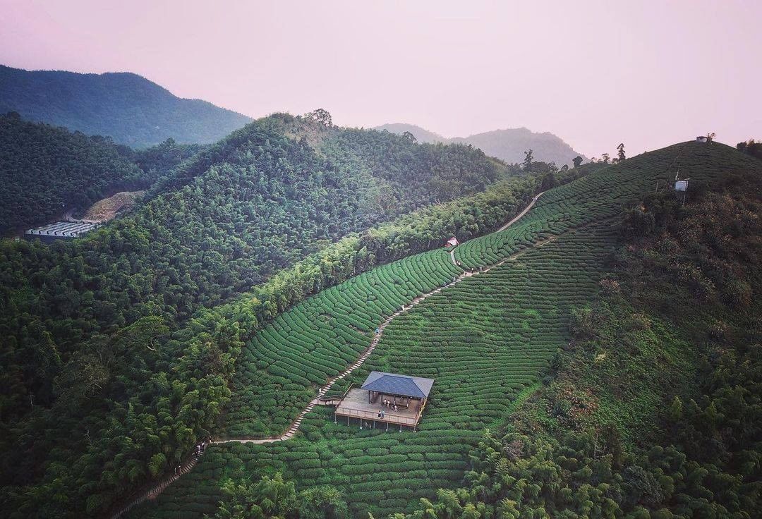 俯瞰茶園跟觀景台茶園與樹林不同的綠色相互交織真是好療癒好舒適！-⠀⠀⠀⠀⠀⠀⠀⠀⠀⠀⠀感謝 @jane_lin_1964 分享的美...