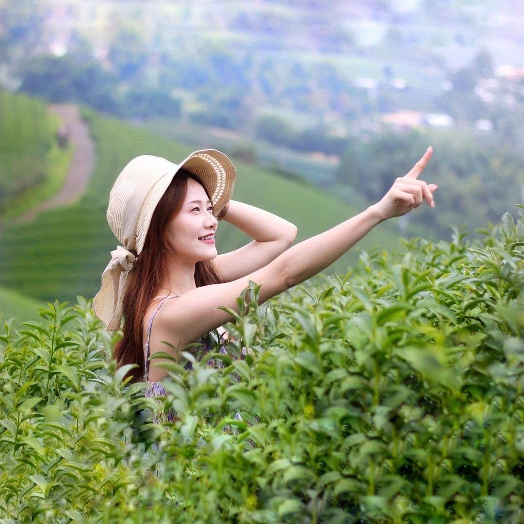 深入茶園認識大家每天都會喝的茶藉由專業人員的導覽既可認識茶葉知識，也可以欣賞美麗景致真是旅行中最美好了事情了-⠀⠀⠀⠀⠀⠀⠀⠀⠀⠀...