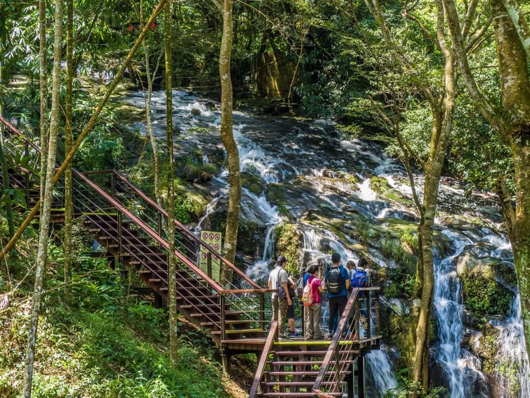 太興飛瀑步道沿著溪谷而建的步道，沿途會經過茶園與林蔭，途中也能在觀瀑平台跟涼亭休息，水流與綠色青苔交織，形成一幅美麗的畫布。來觀賞...