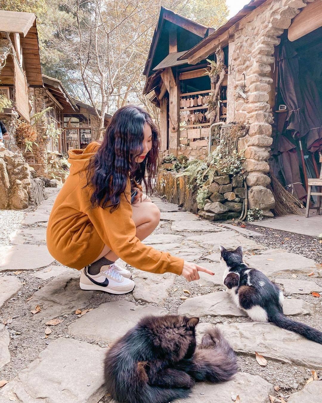 小編很好懂！有貓咪就喜翻～-阿將的家23咖啡館 真的是旅遊阿里山必訪的景點獨特的石材與木材建築搭配山林美景與咖啡☕真是最愜意的享受...