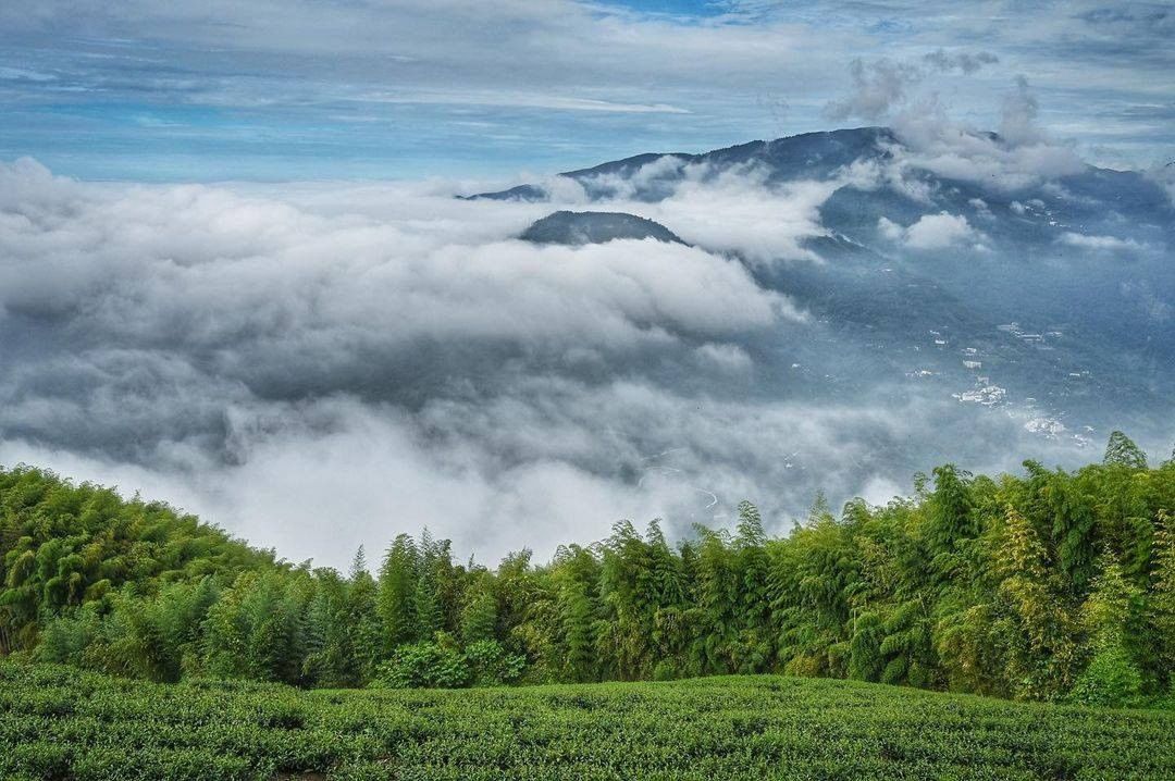 被雲霧壟罩的山頭☁⛰就是阿里山的魅力所在！-⠀⠀⠀⠀⠀⠀⠀⠀⠀⠀⠀感謝 @mingchun0807  分享的美照-⠀⠀⠀⠀⠀⠀⠀⠀...