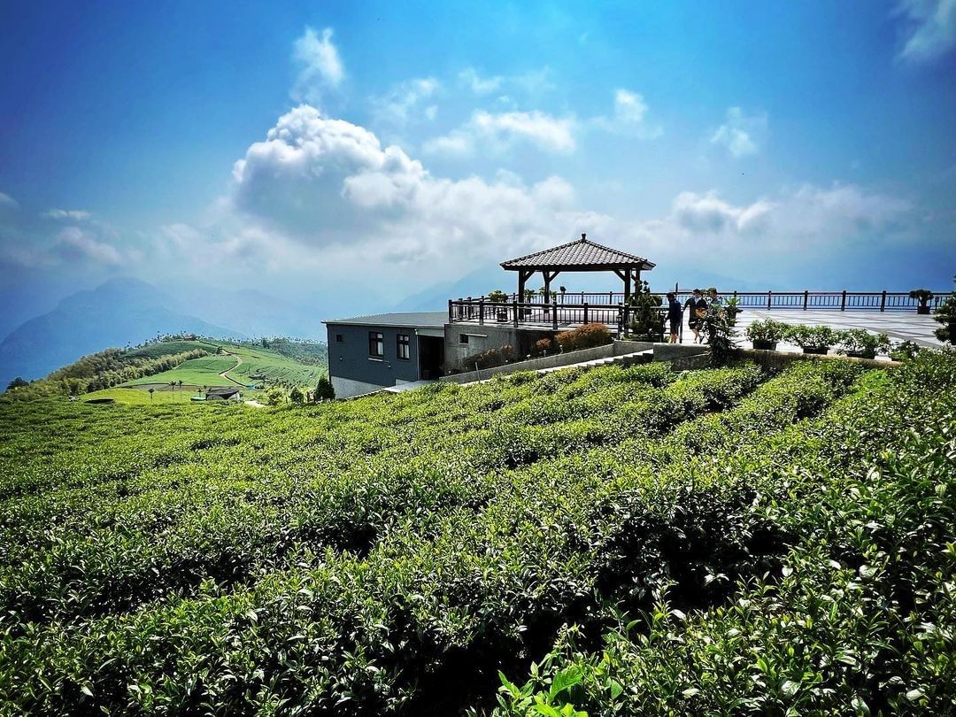 走完太平雲梯，不妨順遊周邊幾個村。像是碧湖觀景台，很適合放空的地方不變的遼闊茶園、可遇不可求的雲海，還可以看日出喔！照片授權 @m...