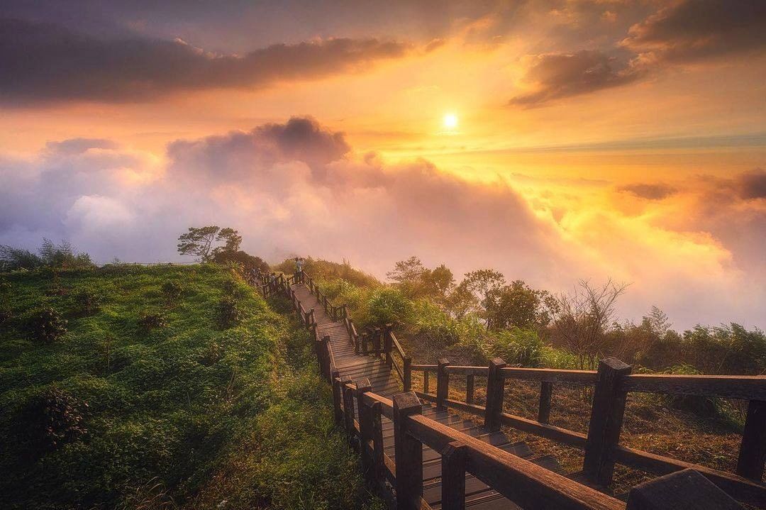 夕陽就像是阿里山上的黃寶石溫暖地照耀茶園步道！-⠀⠀⠀⠀⠀⠀⠀⠀⠀⠀⠀感謝 @qwe0088516  分享的美照-⠀⠀⠀⠀⠀⠀⠀⠀...