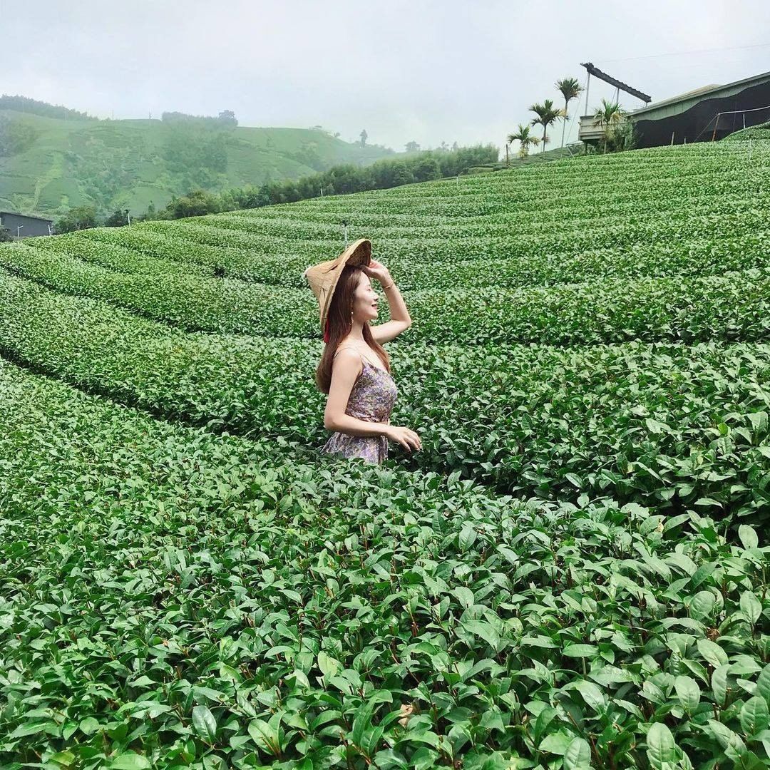 在茶園中的穗穗就像是仙子一般‍♀-星期五就該好好放鬆一下~看看美人美景-⠀⠀⠀⠀⠀⠀⠀⠀⠀⠀⠀感謝 @suilovefood 分享...