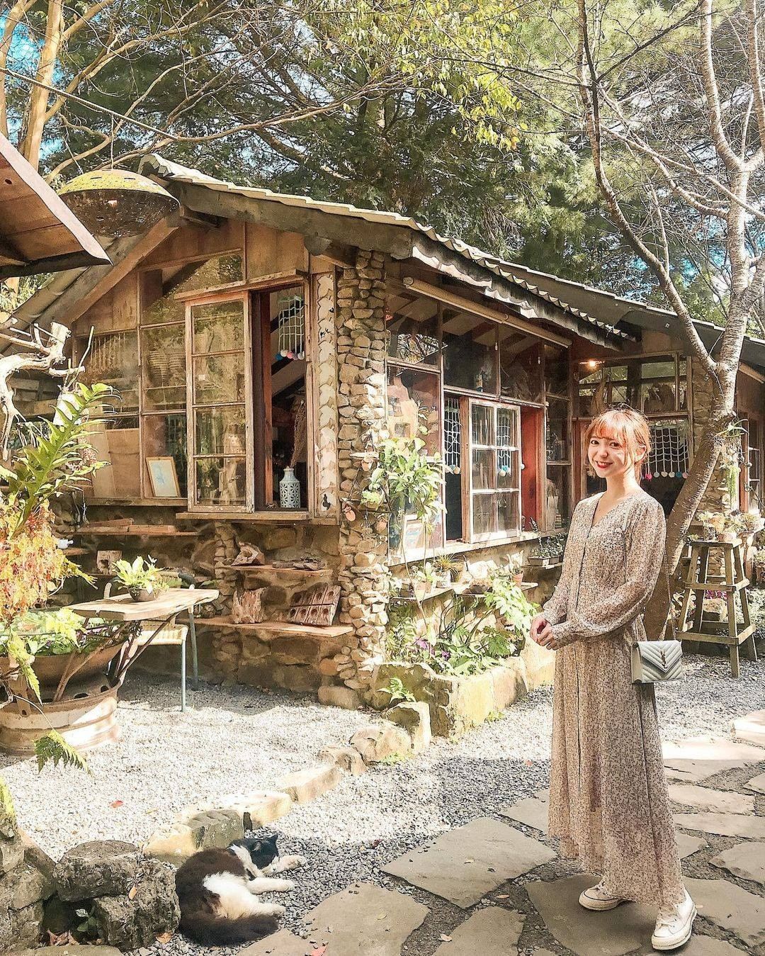 有陽光又有喵☀大家也來趟阿里山享受這１００分的旅程！-⠀⠀⠀⠀⠀⠀⠀⠀⠀⠀⠀感謝 @lynn_gili  分享的美照-⠀⠀⠀⠀⠀⠀...