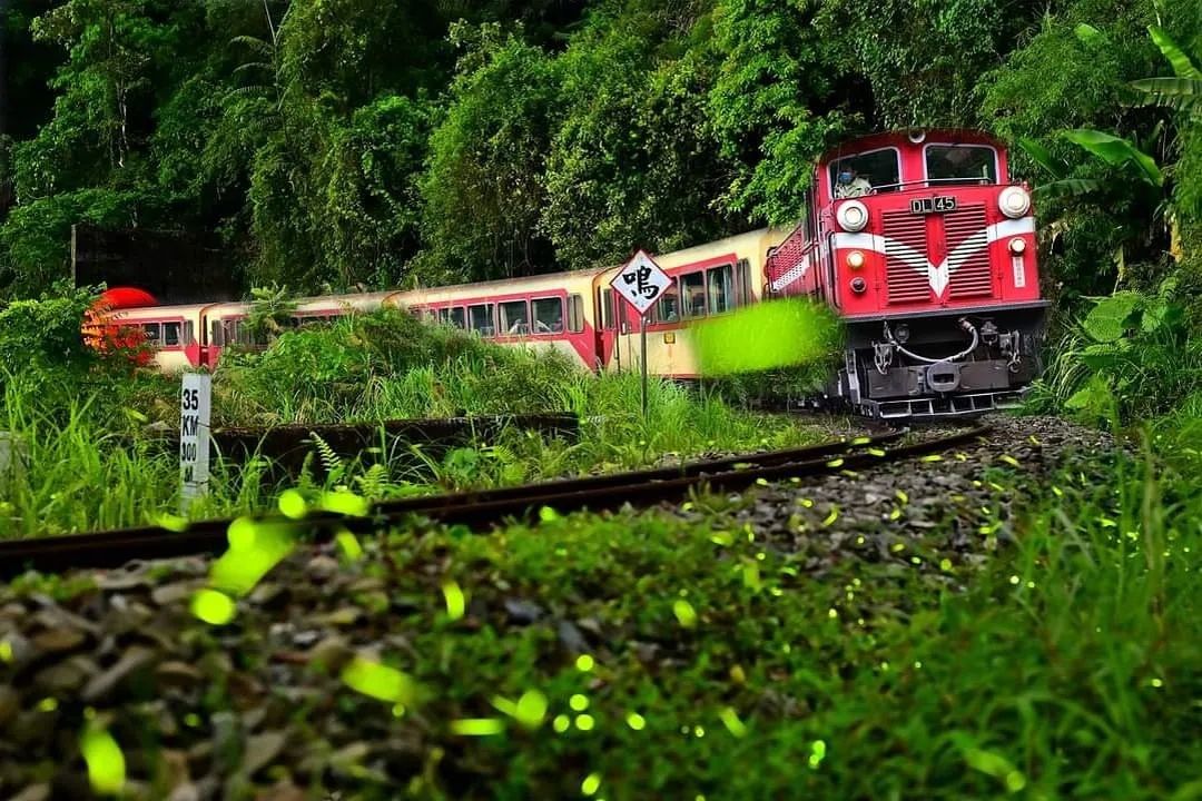 夢幻般的場景，螢河列車⭐️照片為同一地點、不同時間拍攝的合成作品照片授權 @jason.wang59 -⠀歡迎在您的貼文 #tra...