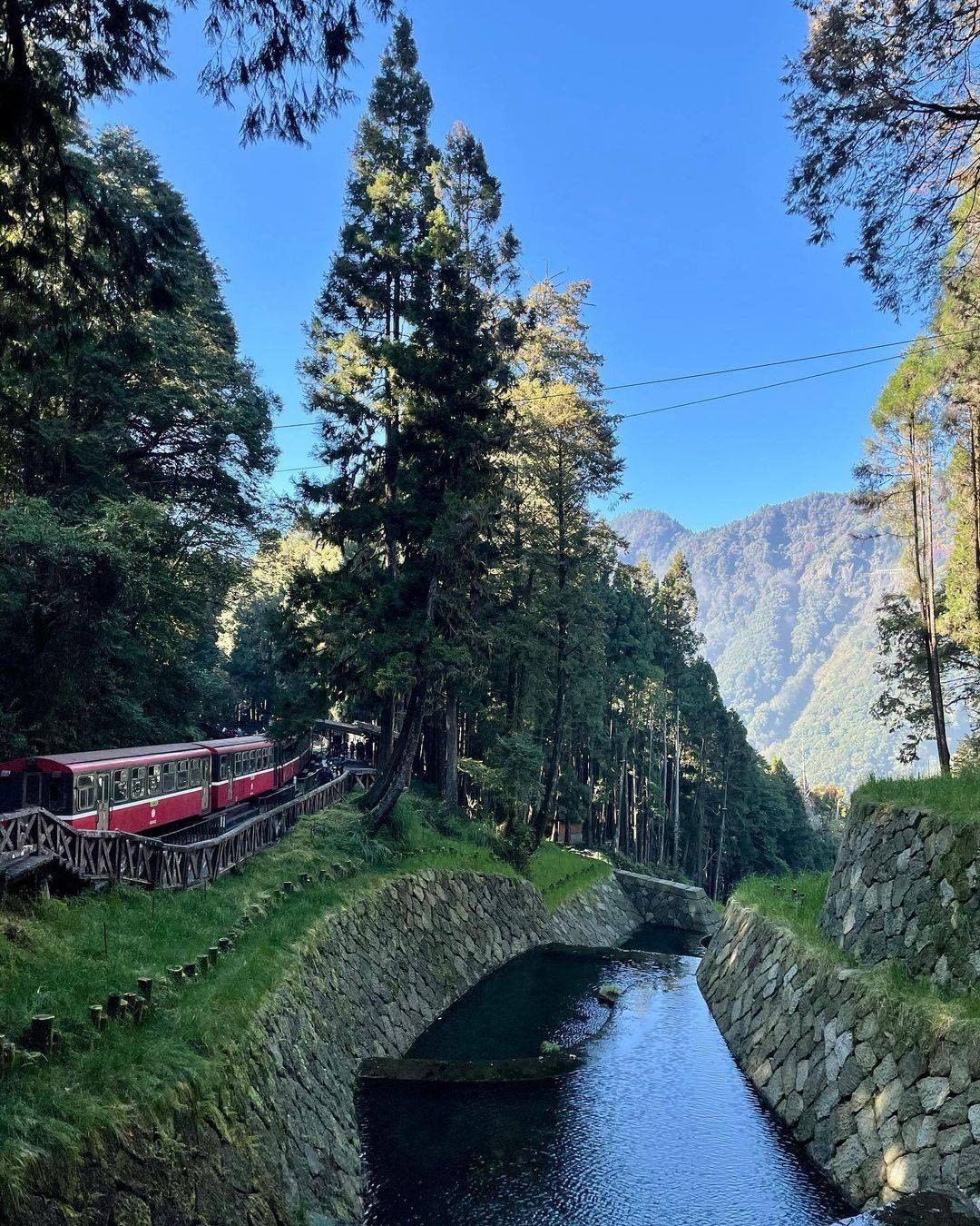 猛一看！好像來到了阿爾卑斯山的山中小徑-不能出國就來阿里山，欣賞茶園綠樹及小火車的美景吧！☘-⠀⠀⠀⠀⠀⠀⠀⠀⠀⠀⠀感謝 @bub...