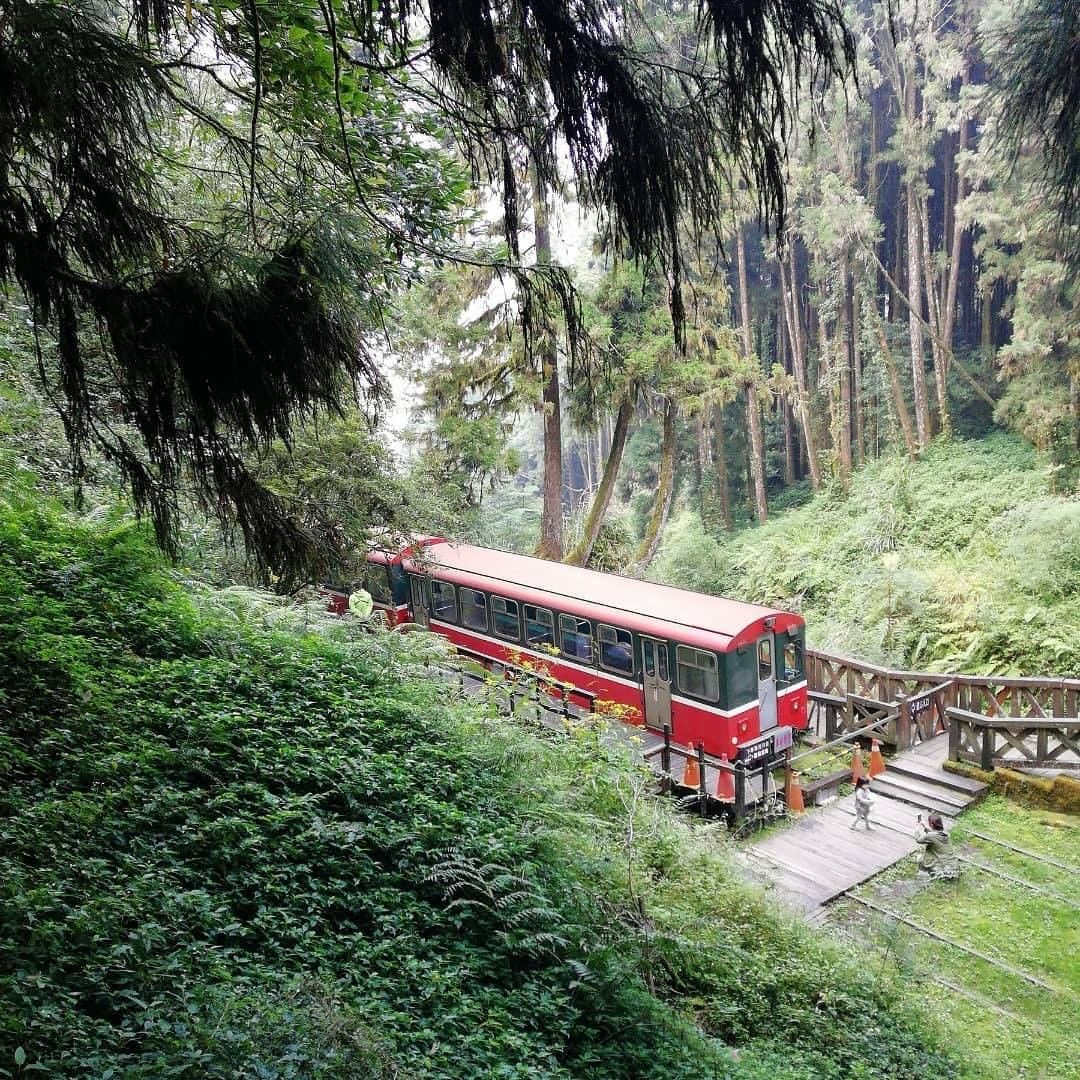 小火車行駛在滿是芬多精的森林裡就好像是可以通往夢想的魔法列車！！⭐-⠀⠀⠀⠀⠀⠀⠀⠀⠀⠀⠀感謝 @chinahand_1 分享的美...