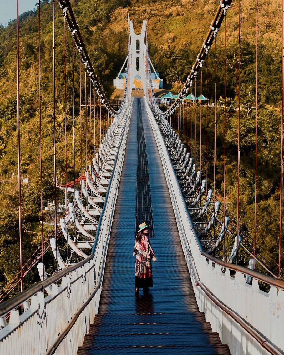 秋冬的阿里山，很熱鬧很精彩❤照片授權感謝 @taiwan.4fun -⠀歡迎在您的貼文 #travelalishan 或 @tra...