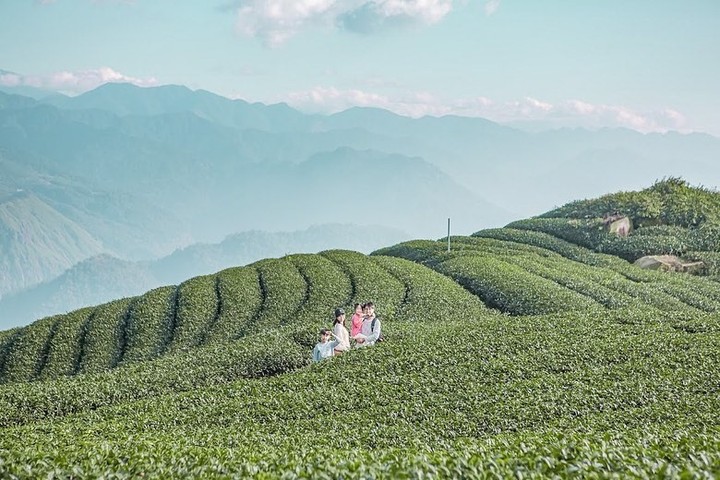 一家大小一起見證阿里山茶園的美麗與壯闊是小孩童年與父母育兒最難忘的回憶！-⠀⠀⠀⠀⠀⠀⠀⠀⠀⠀⠀感謝 @papa0829  分享的...