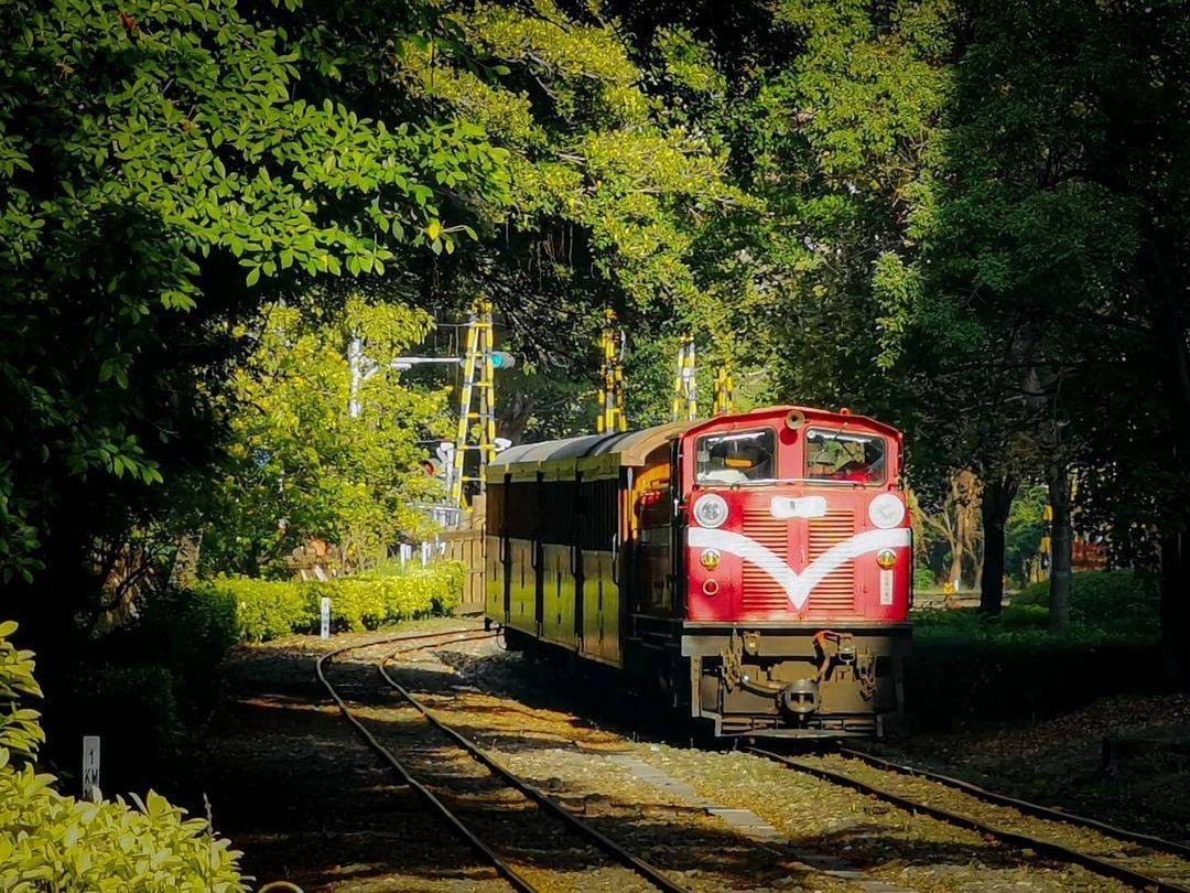 翠綠樹林包裹著紅色小火車好似日本山林的風景-小編看了好久好久覺得好美呀！-⠀⠀⠀⠀⠀⠀⠀⠀⠀⠀⠀感謝 @angustravelle...