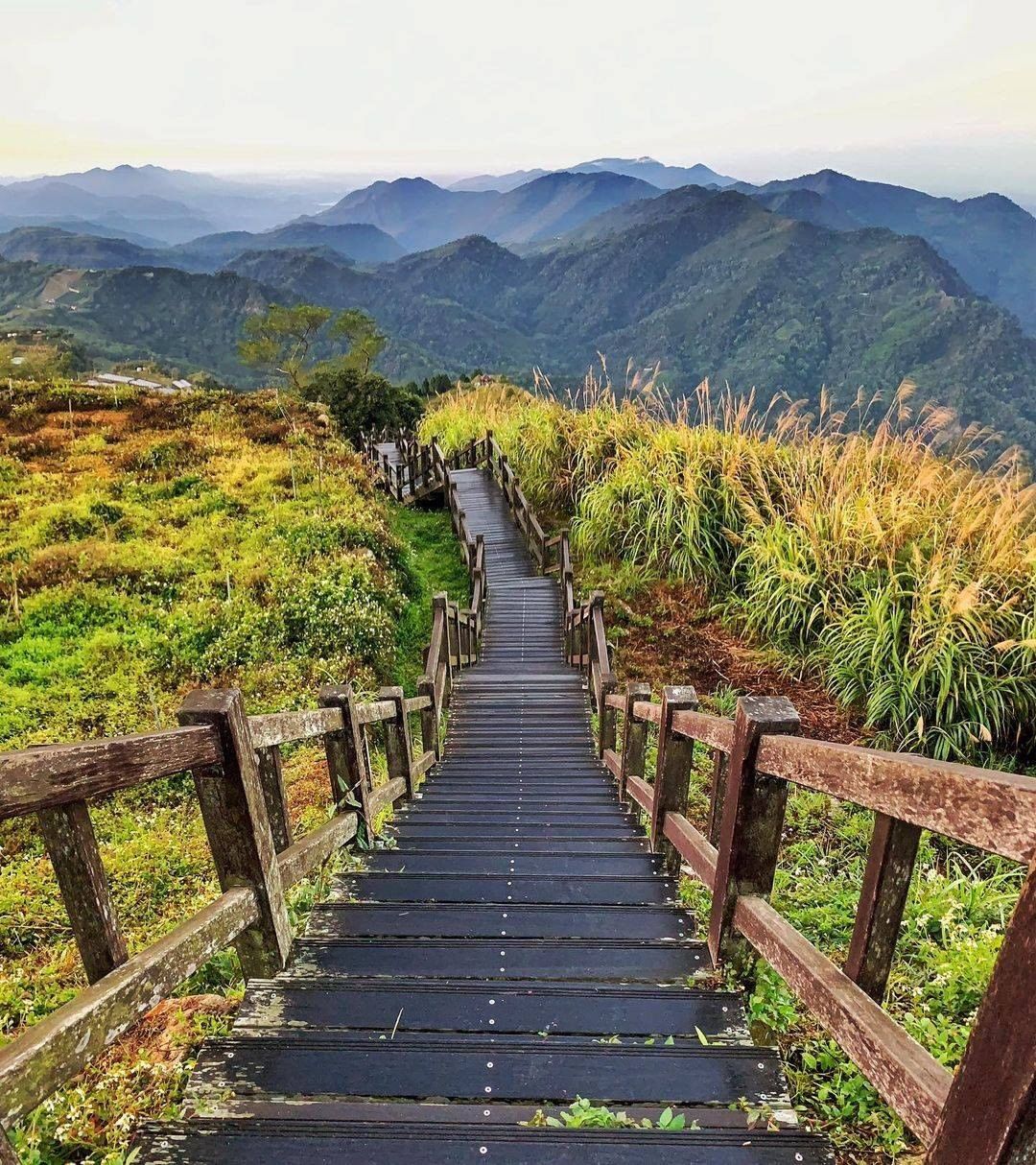 雨後的阿里山步道色彩感覺更加鮮明也是另一種風貌呢！-⠀⠀⠀⠀⠀⠀⠀⠀⠀⠀⠀感謝 @_pho_pic 分享的美照-⠀⠀⠀⠀⠀⠀⠀⠀⠀...