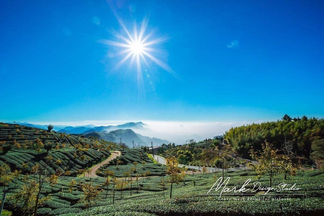 阿里山如鑽石般絢爛的大景！⠀⠀⠀⠀⠀⠀⠀⠀⠀感謝 @mark_xsr900 分享的美照讓我們可以欣賞到如此美景！-⠀⠀⠀⠀⠀⠀⠀⠀...