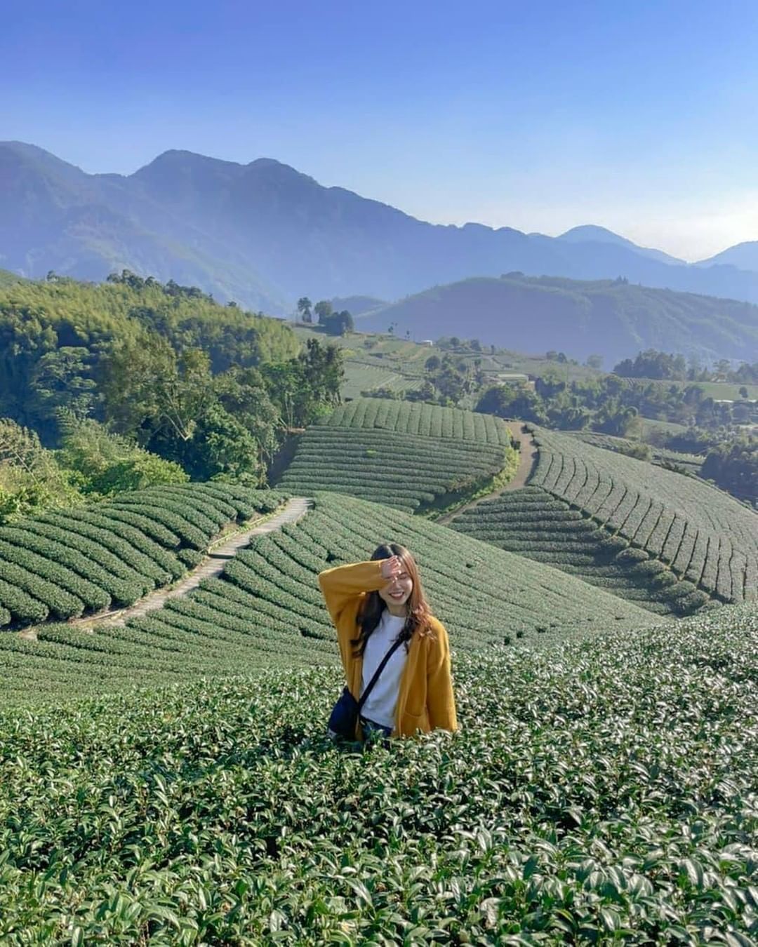 置身茶園就好像融入了阿里山盡情享受山、茶、天合而為一的寧靜-⠀⠀⠀⠀⠀⠀⠀⠀⠀⠀⠀感謝 @ccc.u77  分享的美照-⠀⠀⠀⠀⠀...