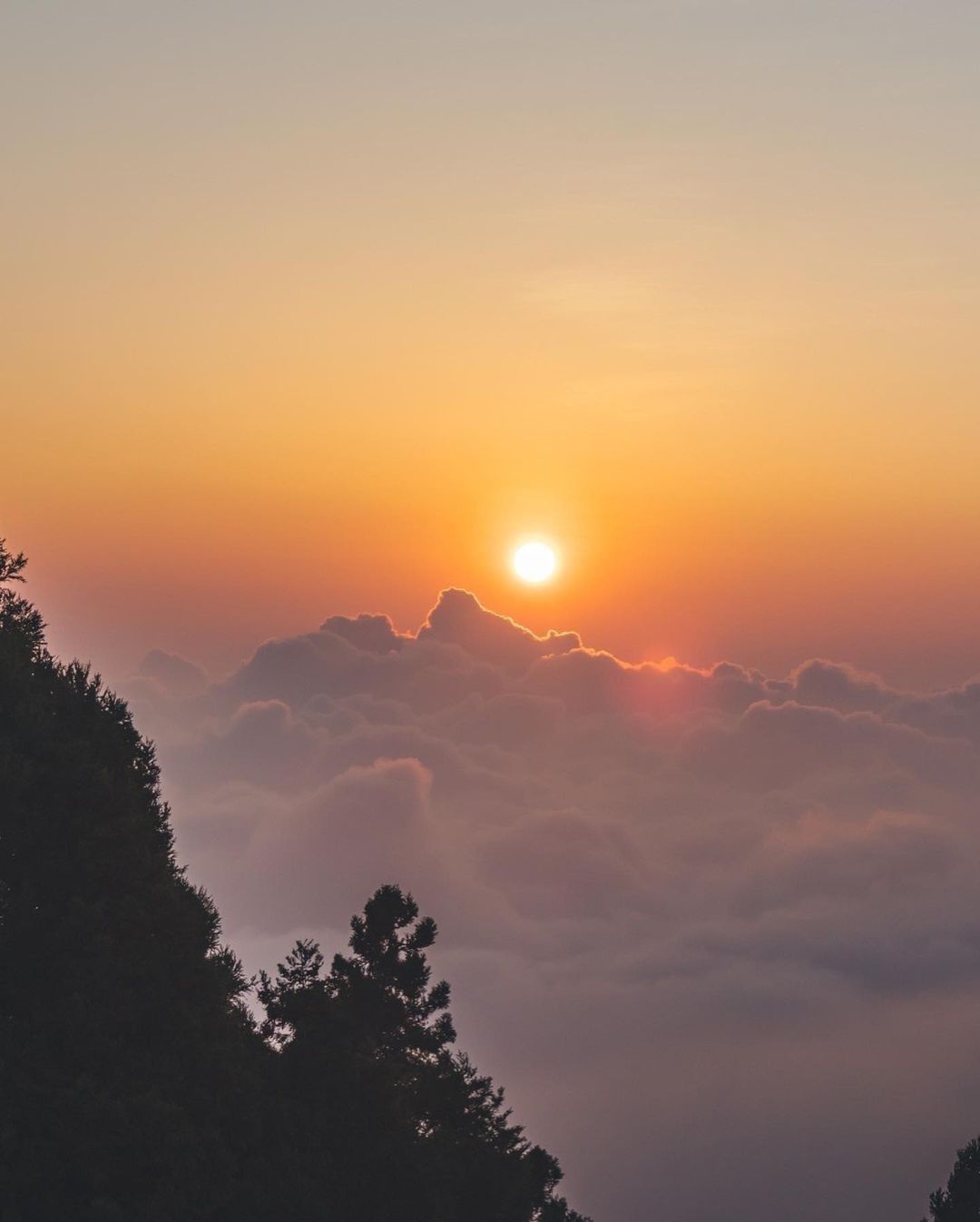 涼涼的天氣你會想_____?照片授權 @lee0281331 -⠀歡迎在您的貼文 #travelalishan 或 @travel...