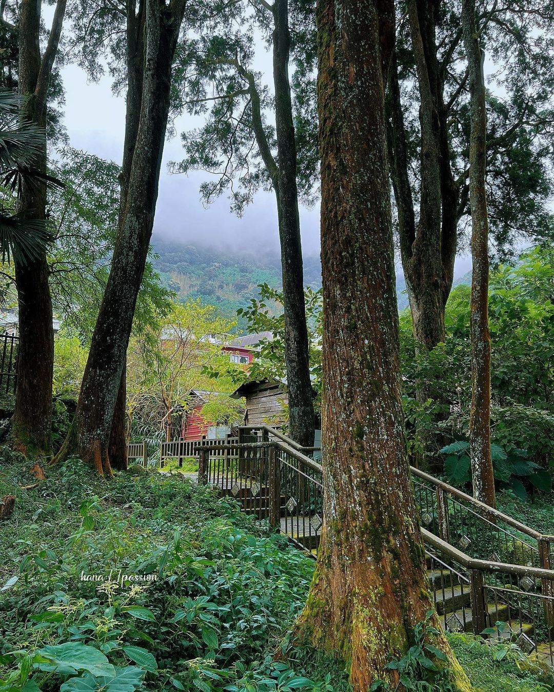 奮起湖說大不大，但山城魅力值得一再品味把佛手瓜拍的好美～好好吃（這是重點嗎覺得厭世了，排好的貼文消失了小編可不可以跟著罷工需要去山...