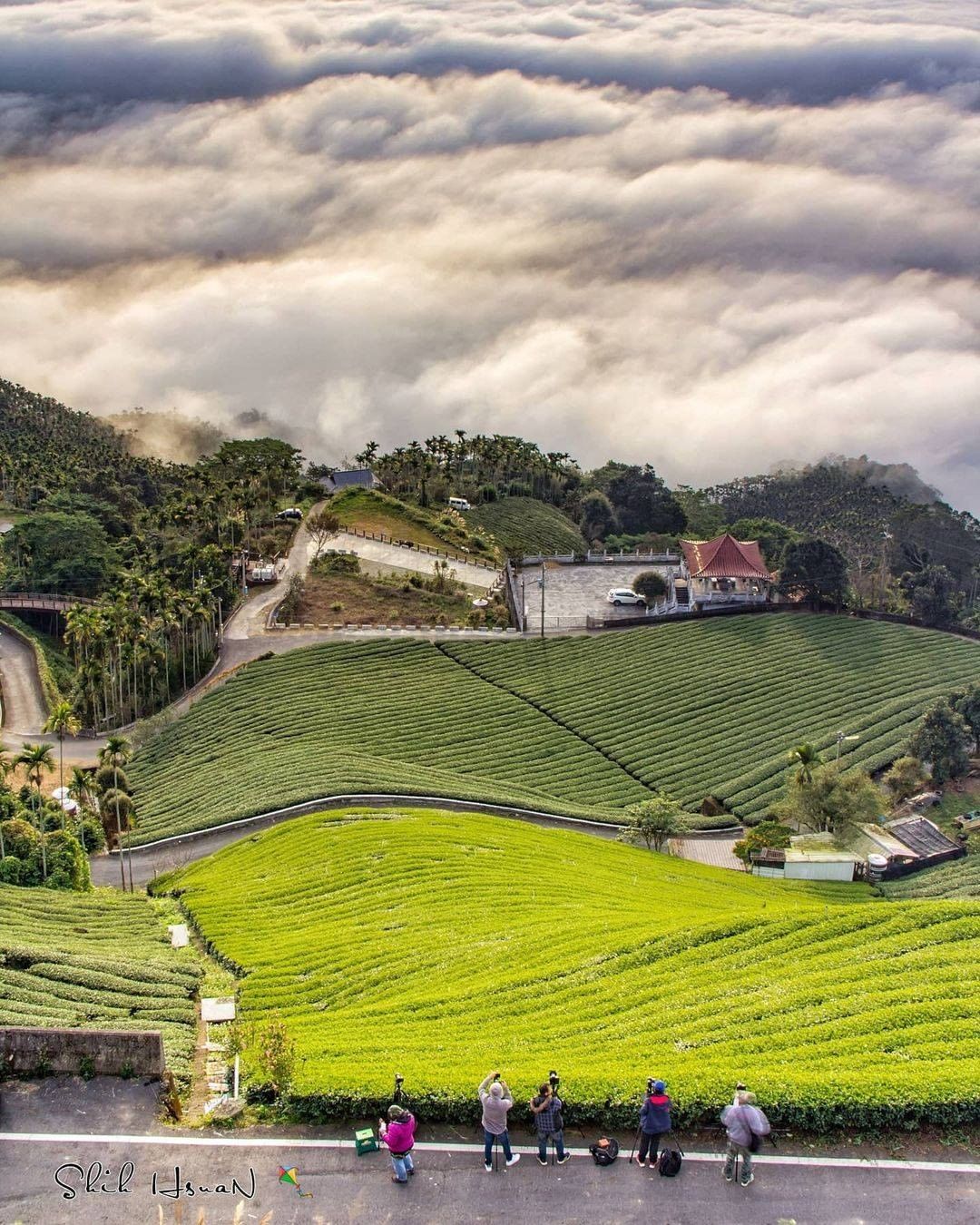 超美的碧湖山莊雲瀑跟鮮綠、墨綠茶園☁成為令人永生難忘的美景呀！-⠀⠀⠀⠀⠀⠀⠀⠀⠀⠀⠀感謝 @shih_hsuan6260  分享...