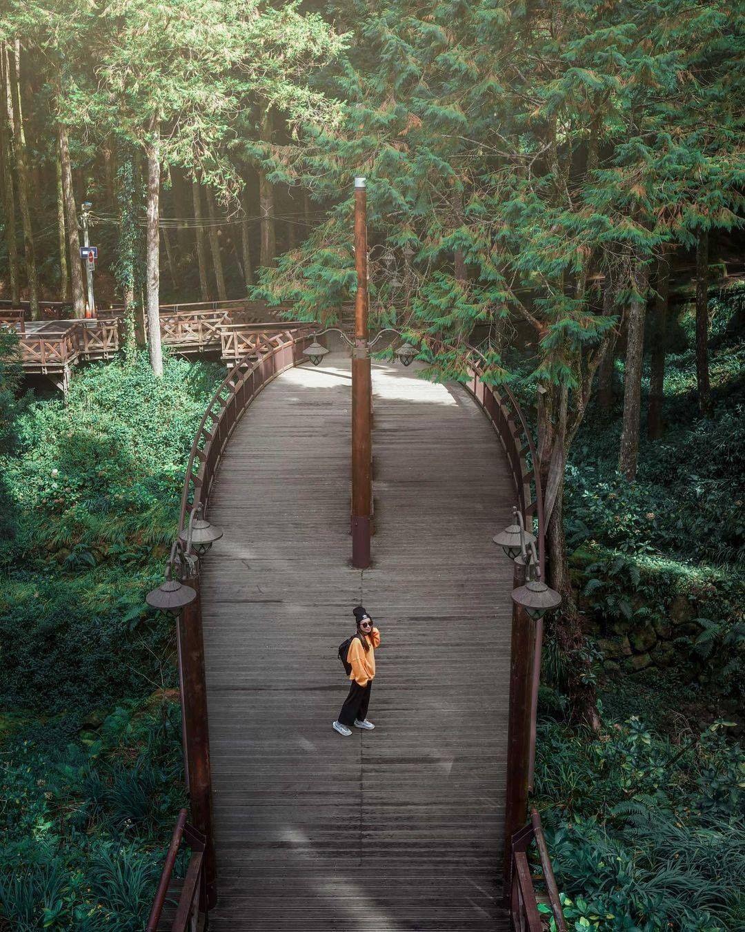 在阿里山森林走著走著還可以發現似諾亞方舟的步道這就是旅行中的驚喜呀！！-⠀⠀⠀⠀⠀⠀⠀⠀⠀⠀⠀感謝 @kevin_hsieh_10...