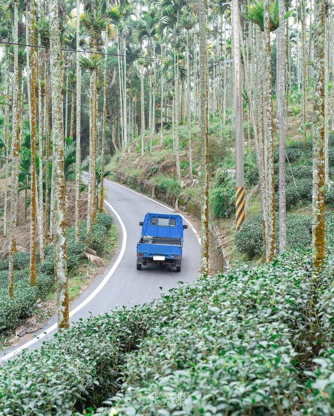 可愛又令人嚮往的阿里山日常好適合退休後來此穿梭山林間，享受生活-⠀⠀⠀⠀⠀⠀⠀⠀⠀⠀⠀感謝 @tct__truth 分享的美照-⠀...