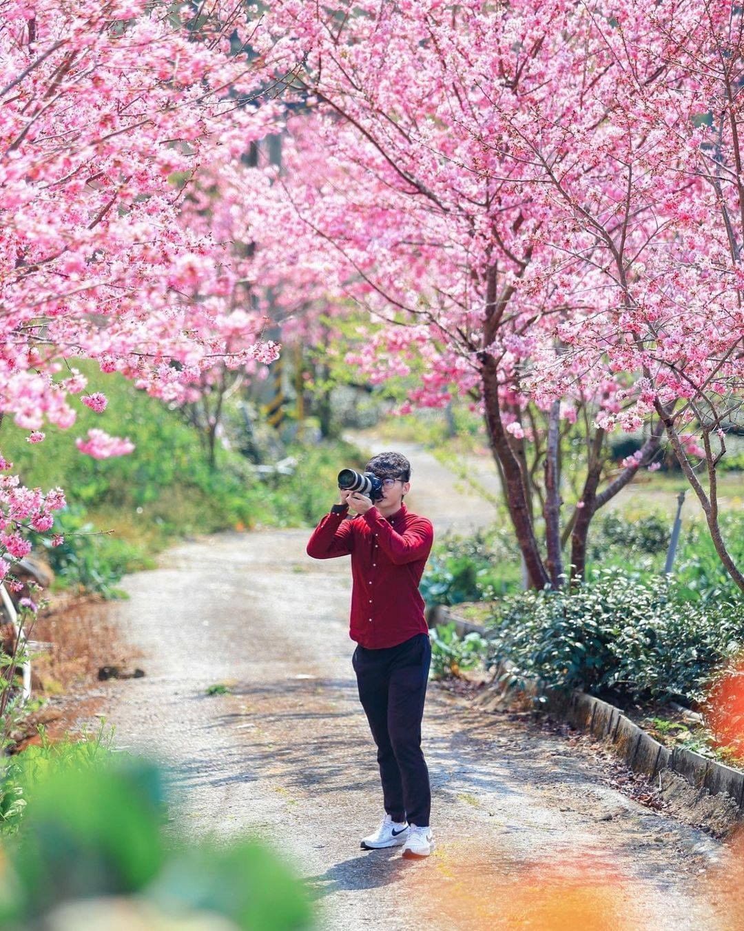 一條富有鄉村風情的櫻花小徑不禁讓人駐足多看幾眼呢-⠀⠀⠀⠀⠀⠀⠀⠀⠀⠀⠀感謝 @xia_n55iw  分享的美照-⠀⠀⠀⠀⠀⠀⠀⠀...