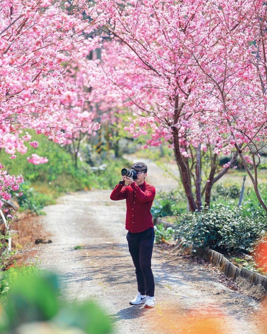 一條富有鄉村風情的櫻花小徑不禁讓人駐足多看幾眼呢-⠀⠀⠀⠀⠀⠀⠀⠀⠀⠀⠀感謝 @xia_n55iw  分享的美照-⠀⠀⠀⠀⠀⠀⠀⠀...