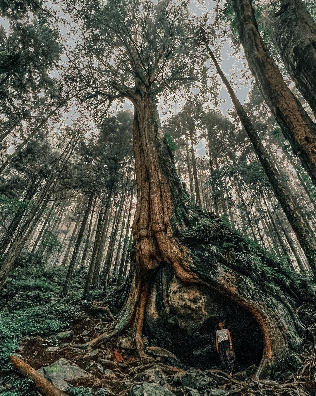 我們如此渺小，時間如此猖狂，眼前所見都是時間走過的痕跡。照片授權 @hellovickywu -⠀歡迎在您的貼文 #travela...