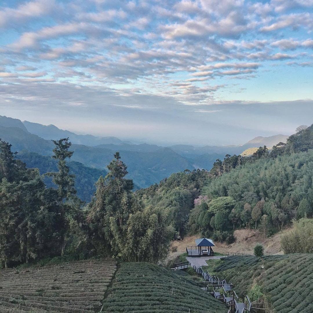 莫蘭迪綠山林與茶園包圍著小涼亭遠看好似山中農家般可愛-⠀⠀⠀⠀⠀⠀⠀⠀⠀⠀⠀感謝 @colorfulworld.z  分享的美照-...