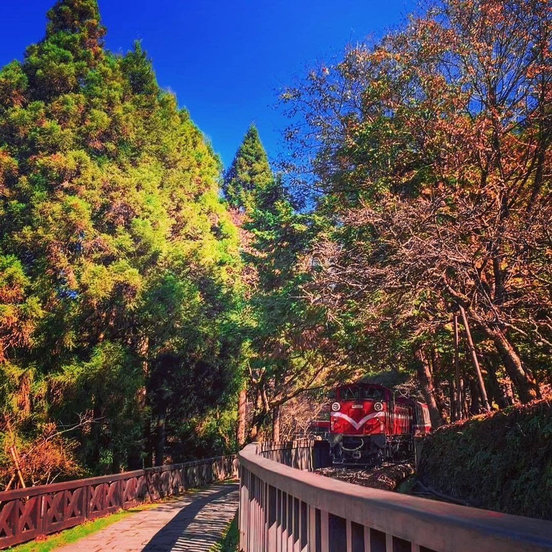 紅色小火車從翠綠樹林中駛來在告訴我們春暖花開的季節到來了呀-感謝 @neverlandseeker 分享的美照-⠀⠀⠀⠀⠀⠀⠀⠀⠀...