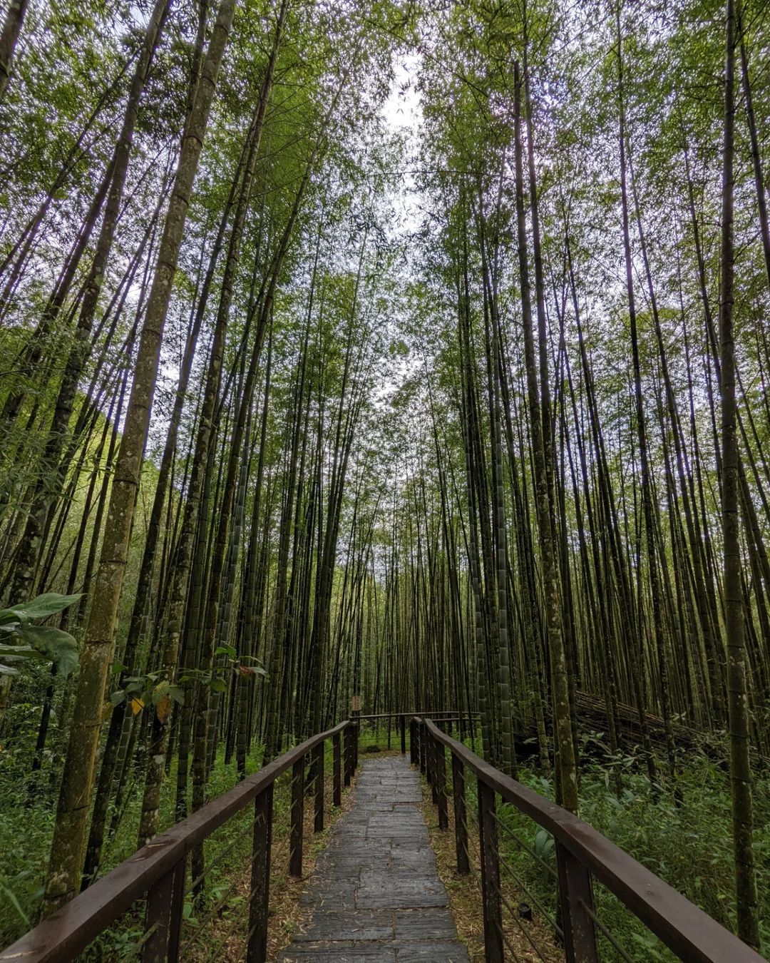 迷糊步道很好走的步道，無須過人的體力，沿途飽覽多樣的自然景觀❤照片授權 @hsukmi -⠀歡迎在您的貼文 #travelalis...