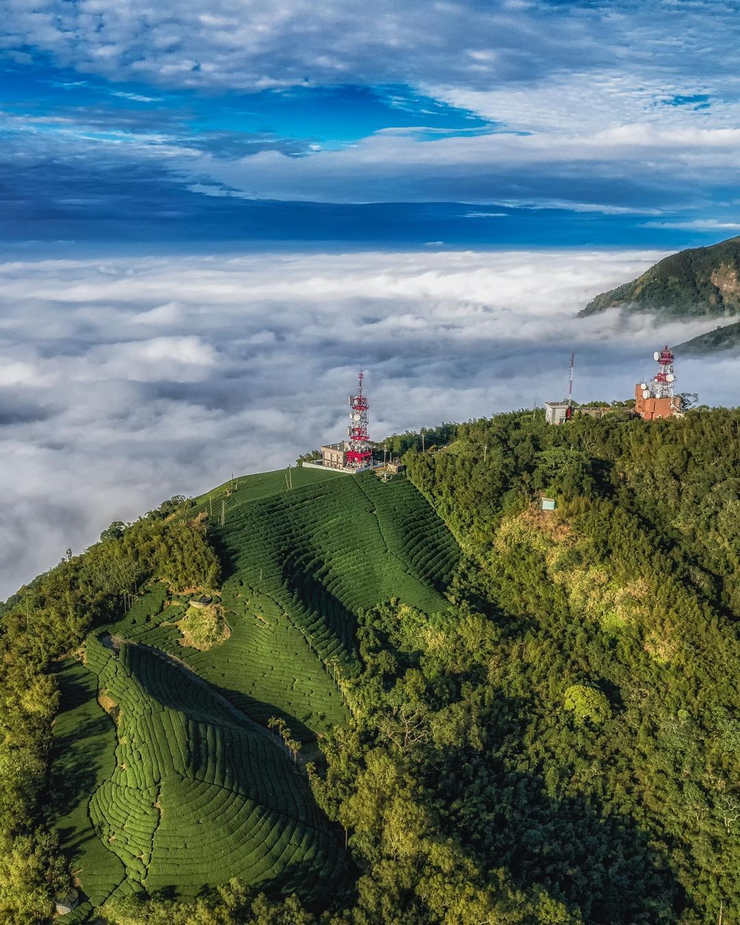 望風斷崖是太平村是祕密景點，美麗的視野吸引越來越多人前往取景，無論是空拍俯瞰，還是站立在茶園之中，都令人讚嘆！距離再遠，都覺得值得...