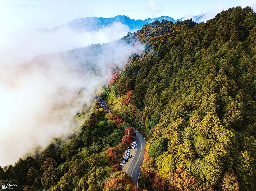 又到了這個時候，美麗的阿里山公路。現在是什麼模樣呢照片授權 @wad3photography -⠀歡迎在您的貼文 #travela...