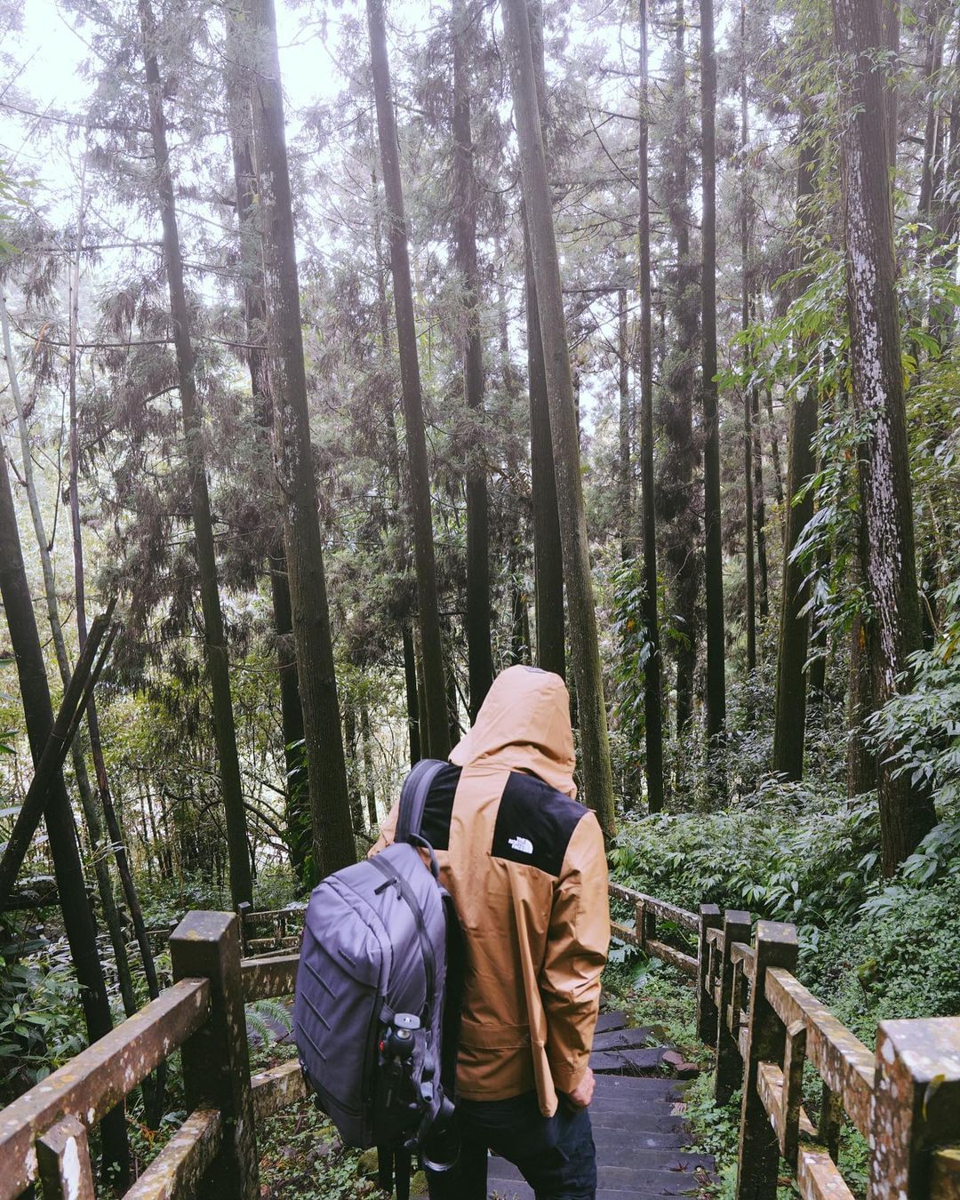 關於山的服裝與裝備，越買越多越往山裡跑照片授權 @rez375 -⠀歡迎在您的貼文 #travelalishan 或 @trave...