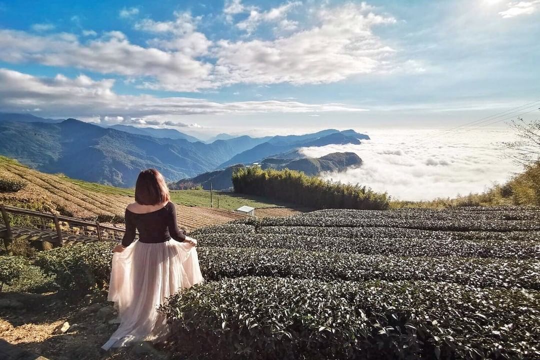 週五啦~~~又到了可以迎向陽光、擁抱自然的週末了！阿里山的茶園、雲海，總是令人舒心暢快-⠀⠀⠀⠀⠀⠀⠀⠀⠀⠀⠀感謝 @karenf...