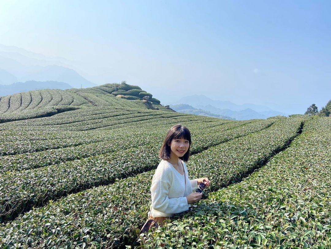 呼吸著山中新鮮空氣的茶葉一定甘醇又順口-⠀⠀⠀⠀⠀⠀⠀⠀⠀⠀⠀感謝 @ab.0214  分享的美照-⠀⠀⠀⠀⠀⠀⠀⠀⠀⠀⠀⠀ #t...