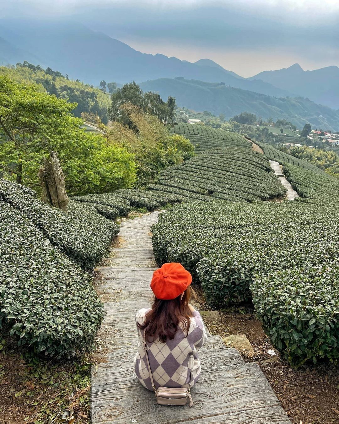 一望無際的茶園、山林景觀就是調解生活的特效藥了！-⠀⠀⠀⠀⠀⠀⠀⠀⠀⠀⠀感謝 @chu.chu_annie 分享的美照-⠀⠀⠀⠀⠀...