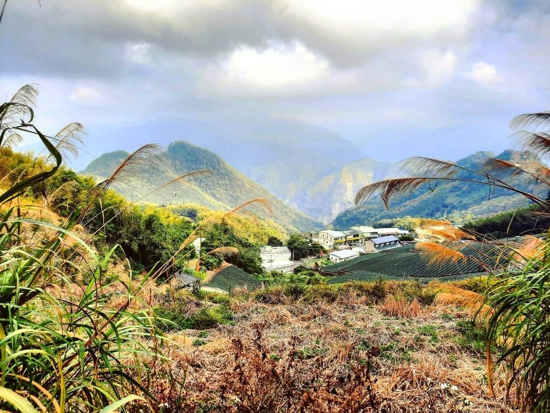 阿里山景色美的跟幅畫一樣細看被群山包圍的小屋真是太可愛了！-⠀⠀⠀⠀⠀⠀⠀⠀⠀⠀⠀感謝 @tompj 分享的美照-⠀⠀⠀⠀⠀⠀⠀⠀...