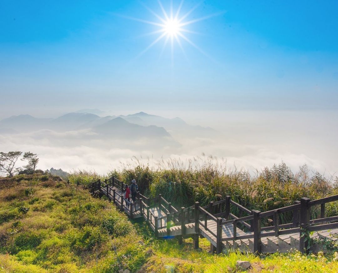 北部又下雨啦！嘉義可是晴朗好天氣 ☀ 難得假期就安排 ⬇〈嘉義阿里山 ‍♂️ 二延平步道 ‍♂️〉 全長僅一公里，木棧道階梯不傷膝...