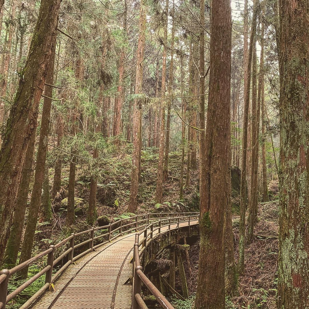 每天都是一種練習。照片授權 @v_life_odyssey -⠀歡迎在您的貼文 #travelalishan 或 @travela...