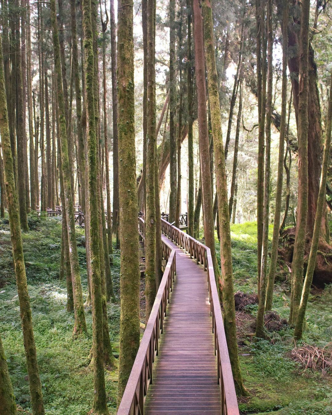 放假啦~~~連假第一天先睡飽照片授權 @chloewang -⠀歡迎在您的貼文 #travelalishan 或 @travela...