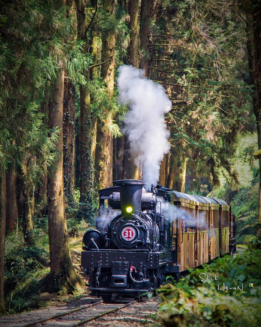 古典的阿里山蒸汽火車駛在阿里山樹林中真是經典的一幕啊！-⠀⠀⠀⠀⠀⠀⠀⠀⠀⠀⠀感謝 @shih_hsuan6260 分享的美照-⠀...