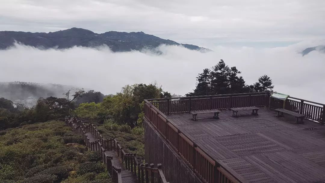 換個地方看雲海山裡的風景變化讓人捉摸不定~照片授權 @chiyi.1210 -⠀歡迎在您的貼文 #travelalishan 或 ...