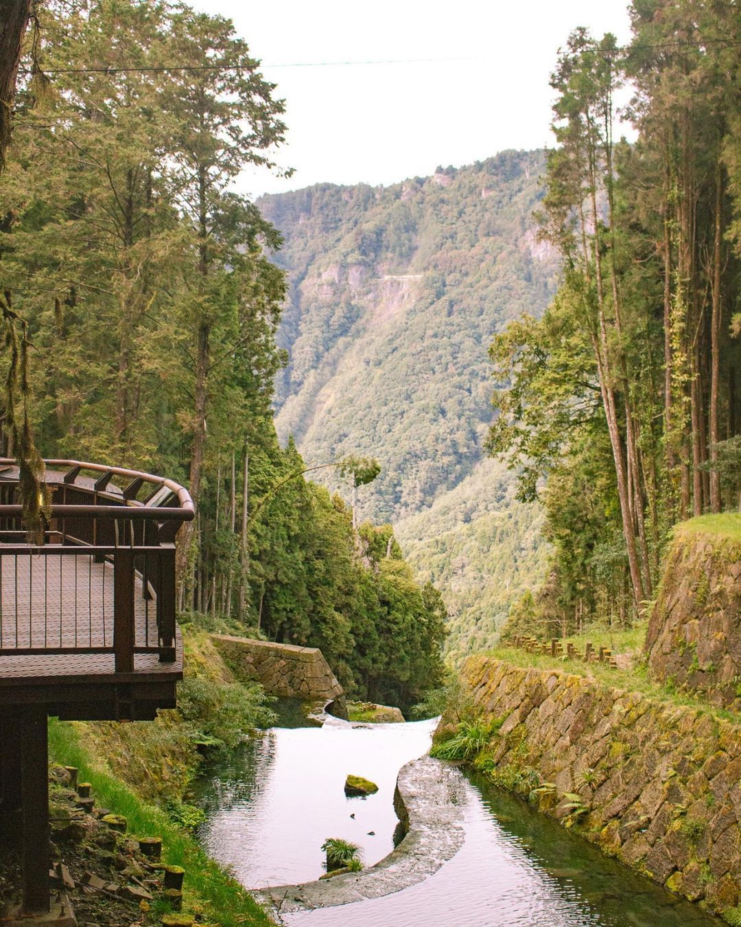 一年四季都美的阿里山，各種限定版的風景，追楓、追櫻花、追火車、看夕陽、看晚霞、看雲海.....但沒有這些限定版點綴，依舊迷人~就像...