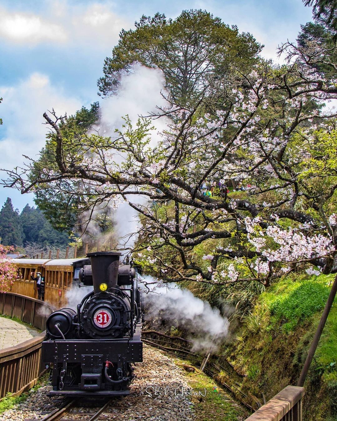 小編真的是很喜歡這種蒸汽火車來阿里山就是要搭這種小火車邊看山林、邊享受古色古香的韻味-⠀⠀⠀⠀⠀⠀⠀⠀⠀⠀⠀感謝 @shih_hs...