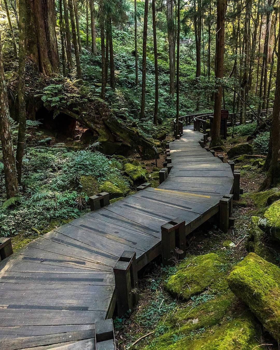 當心情烏雲罩頂的時候看看阿里山的步道美景，似乎更能面對前方困難就算今天是令人憂鬱的星期一（感謝 @travelneverlate ...