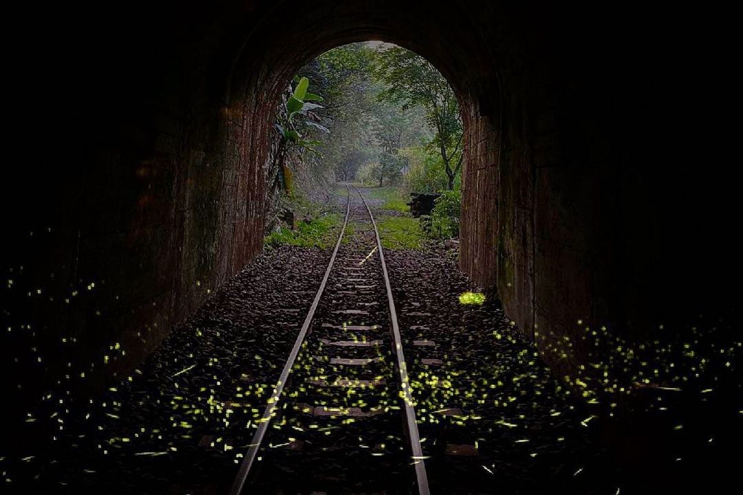 每到阿里山螢火蟲季時刻這個車站總是非常熱門~-⠀⠀⠀⠀⠀⠀⠀⠀⠀⠀⠀感謝 @pingmakesmusic  分享的美照-⠀【想讓你...