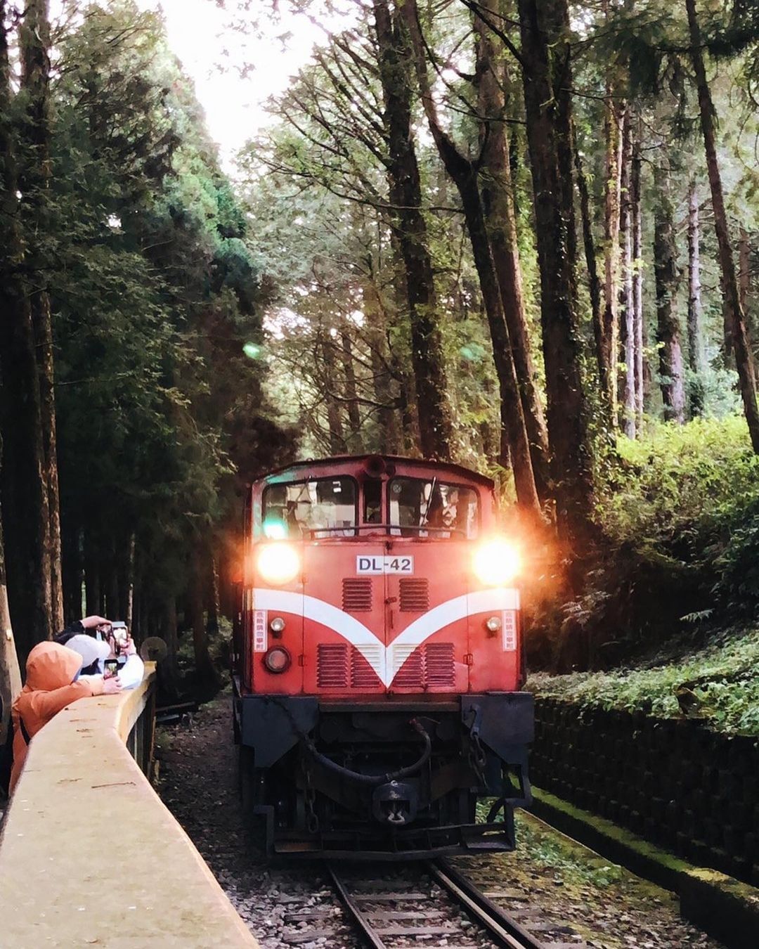 ｜阿里山 #搭小火車看日出｜乘著復古小火車慢悠悠地上山等金黃太陽從山頂冒出 ⛅ 絕美體驗，一生一定要來一次！-⠀⠀⠀⠀⠀⠀⠀⠀⠀⠀...