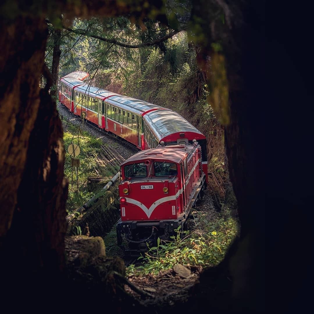 好久沒看到樹洞裡的小火車囉這個拍攝的角度真的太厲害了啦!-⠀⠀⠀⠀⠀⠀⠀⠀⠀⠀⠀感謝 @travelneverlate  分享的美...