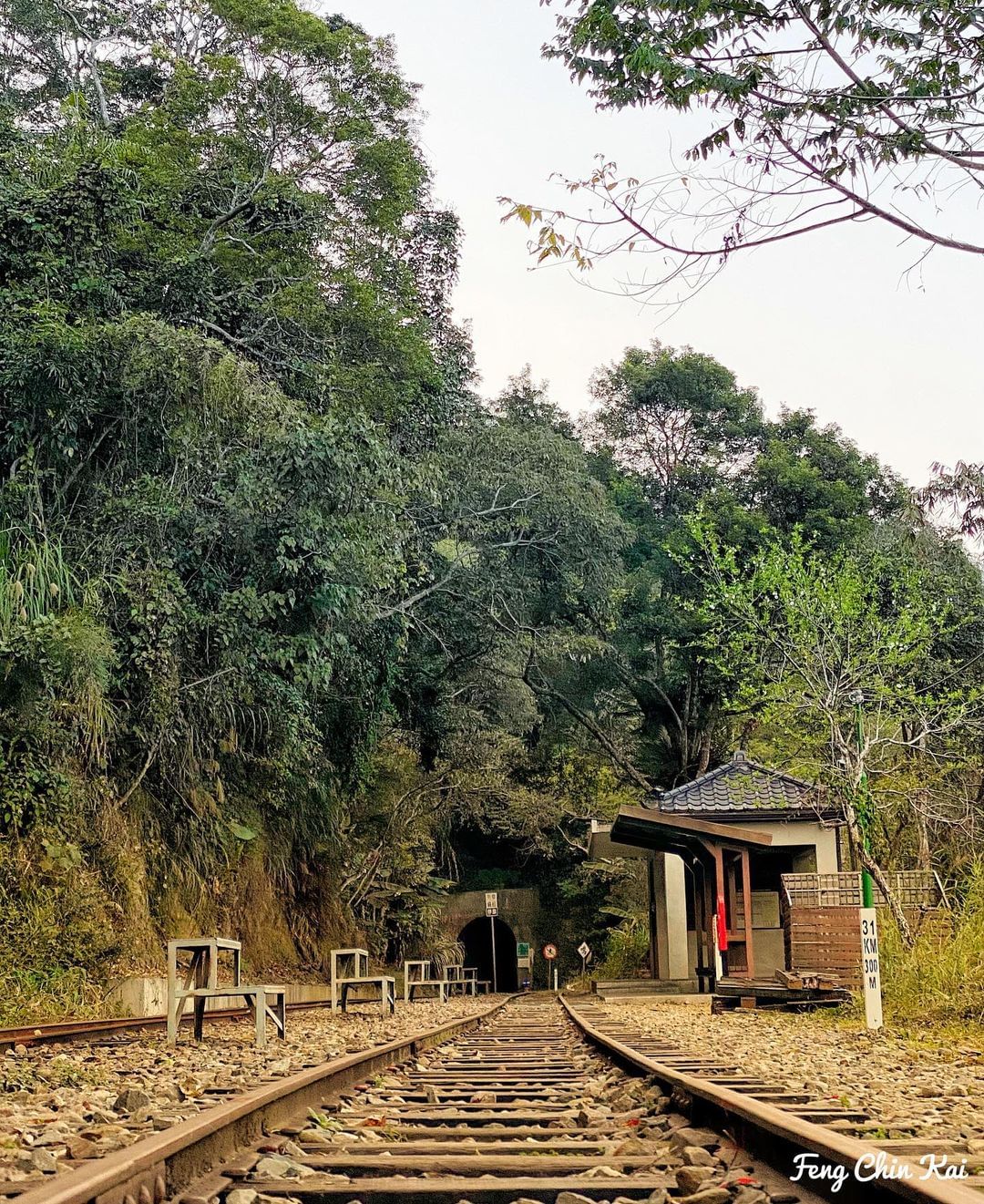 阿里山的魅力之一森林小火車是遊玩阿里山的熱門選項沿途經過的懷舊車站，令人留連忘返~照片授權 @chinkai0307 -⠀歡迎在您...