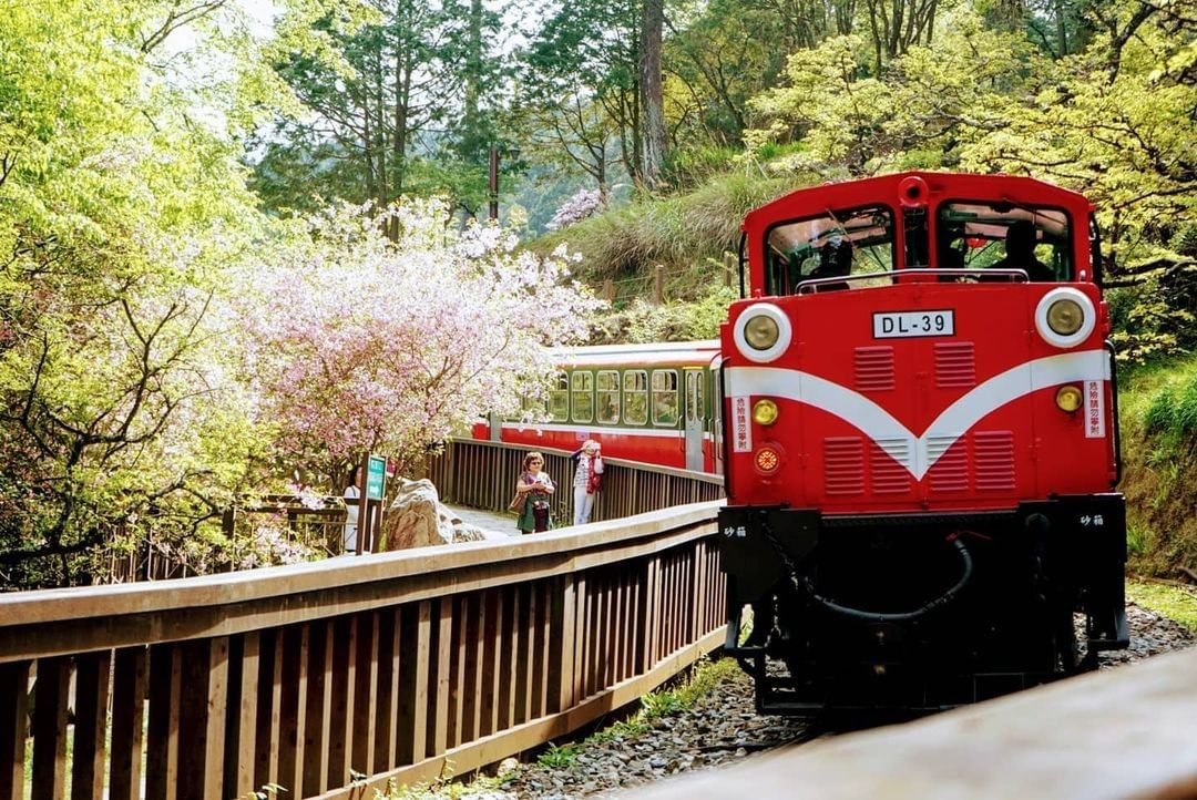 ｜嘉義 #沼平車站｜ 當紅色復古小火車駛來，阿里山淵遠的歷史好像也穿越時空來到我們面前它的花、雲海、夕照... ⛅去都去不膩呀！-...