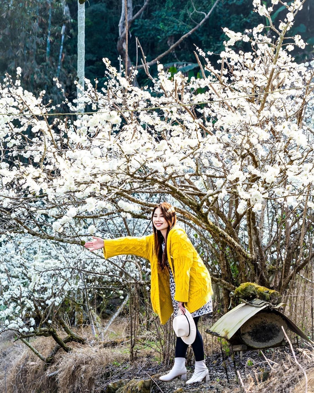 花開花謝如同時間錯過了就不復返但我們能等待明年新的花期開始照片授權 @yu_ning0202 -⠀歡迎在您的貼文 #travela...